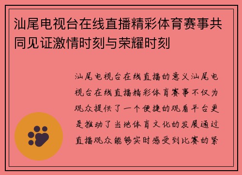 汕尾电视台在线直播精彩体育赛事共同见证激情时刻与荣耀时刻